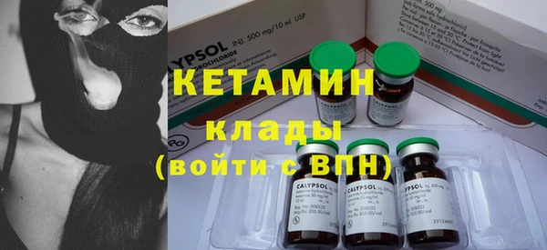 шишки Абаза