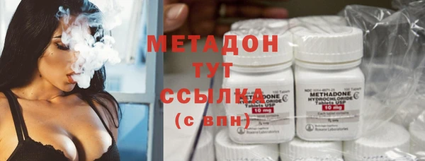 шишки Абаза