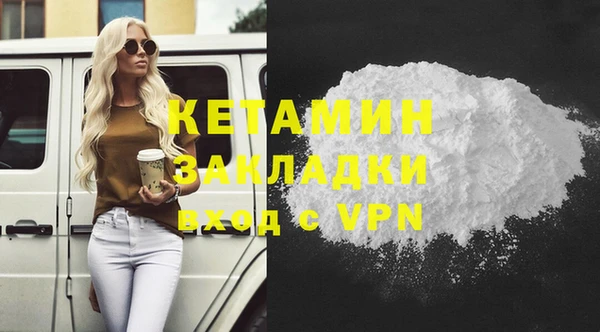 шишки Абаза