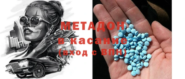 шишки Абаза