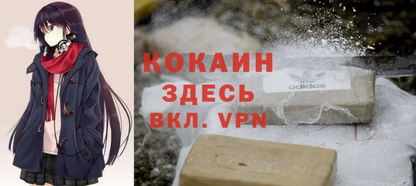 шишки Абаза