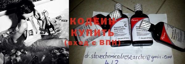 дживик Няндома