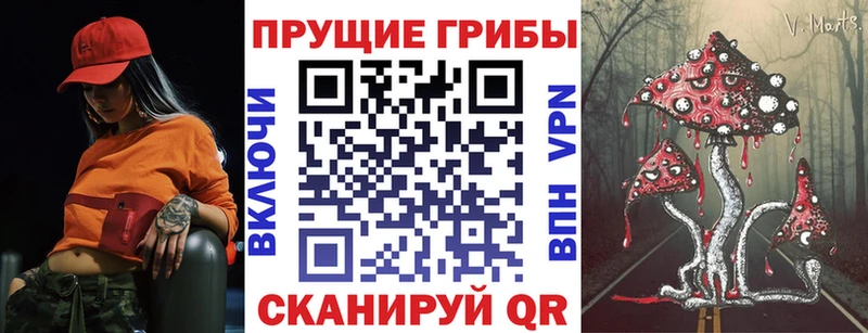 Псилоцибиновые грибы Psilocybine cubensis  Каменск-Шахтинский 
