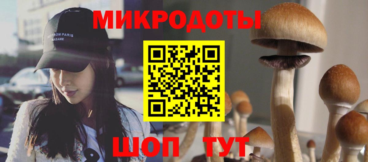 Галлюциногенные грибы Psilocybe Каменск-Шахтинский