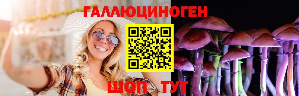 Каменск-Шахтинский  Псилоцибиновые грибы Magic Shrooms  Вход с VPN 